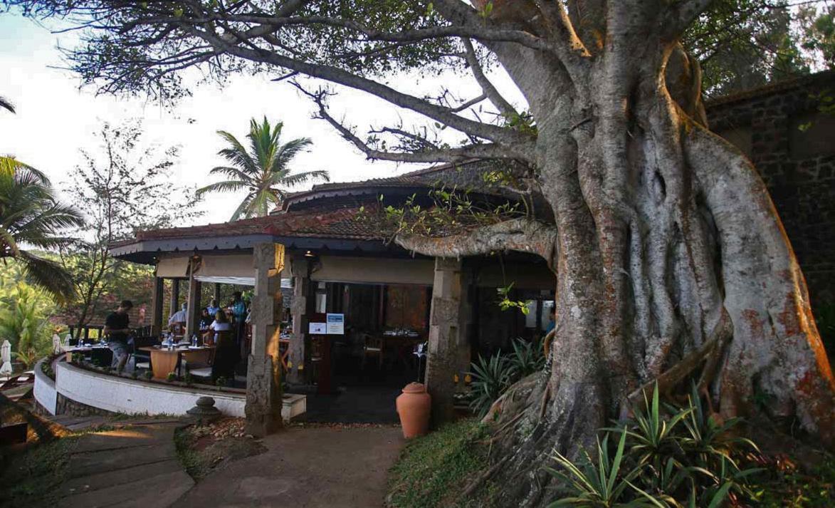 Niraamaya Wellness Retreats, Surya Samudra, קובאלאם מראה חיצוני תמונה
