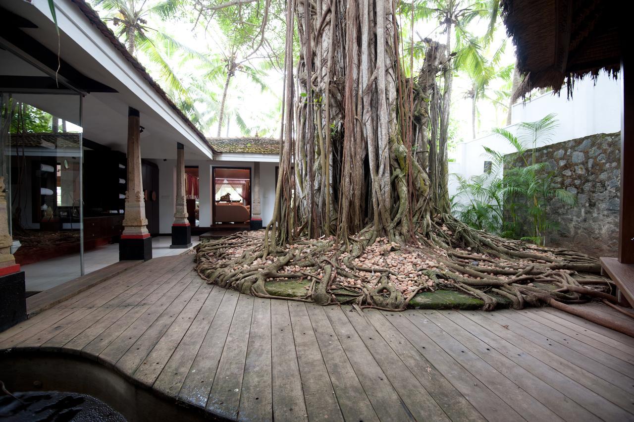 Niraamaya Wellness Retreats, Surya Samudra, קובאלאם מראה חיצוני תמונה